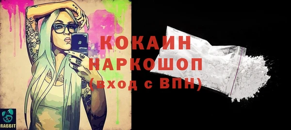 бошки Дмитров