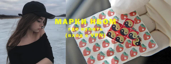 твердый Дмитриев