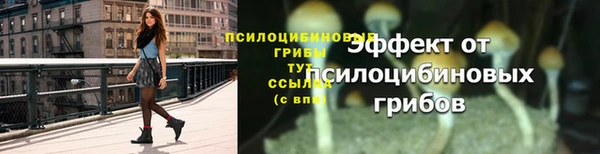марихуана Дмитровск
