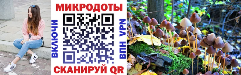 цена   Навашино  Псилоцибиновые грибы MAGIC MUSHROOMS 